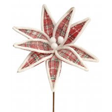 Χριστουγεννιάτικο Λουλούδι Αλεξανδρινό Κόκκινο (29cm)